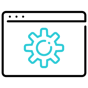 Customize System